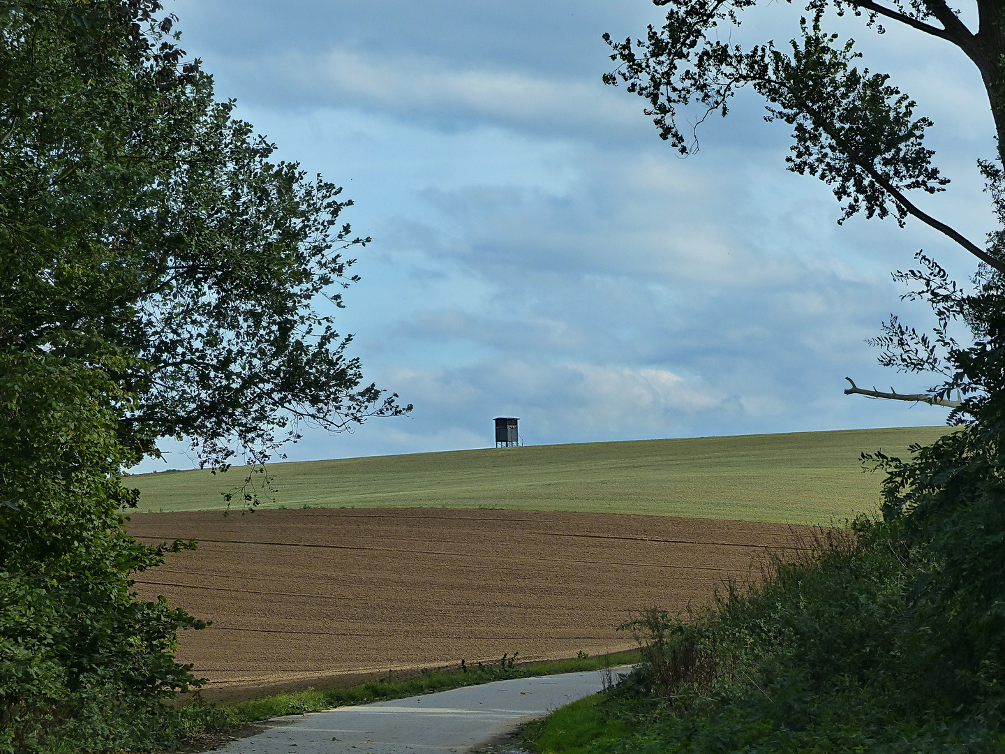 Ein  Blick über die Felder