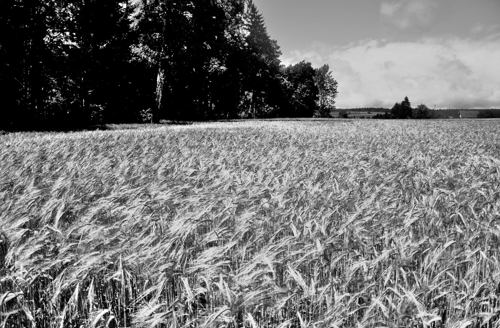 ein Blick über die Felder