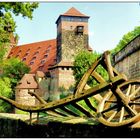 Ein Blick über die Mauer