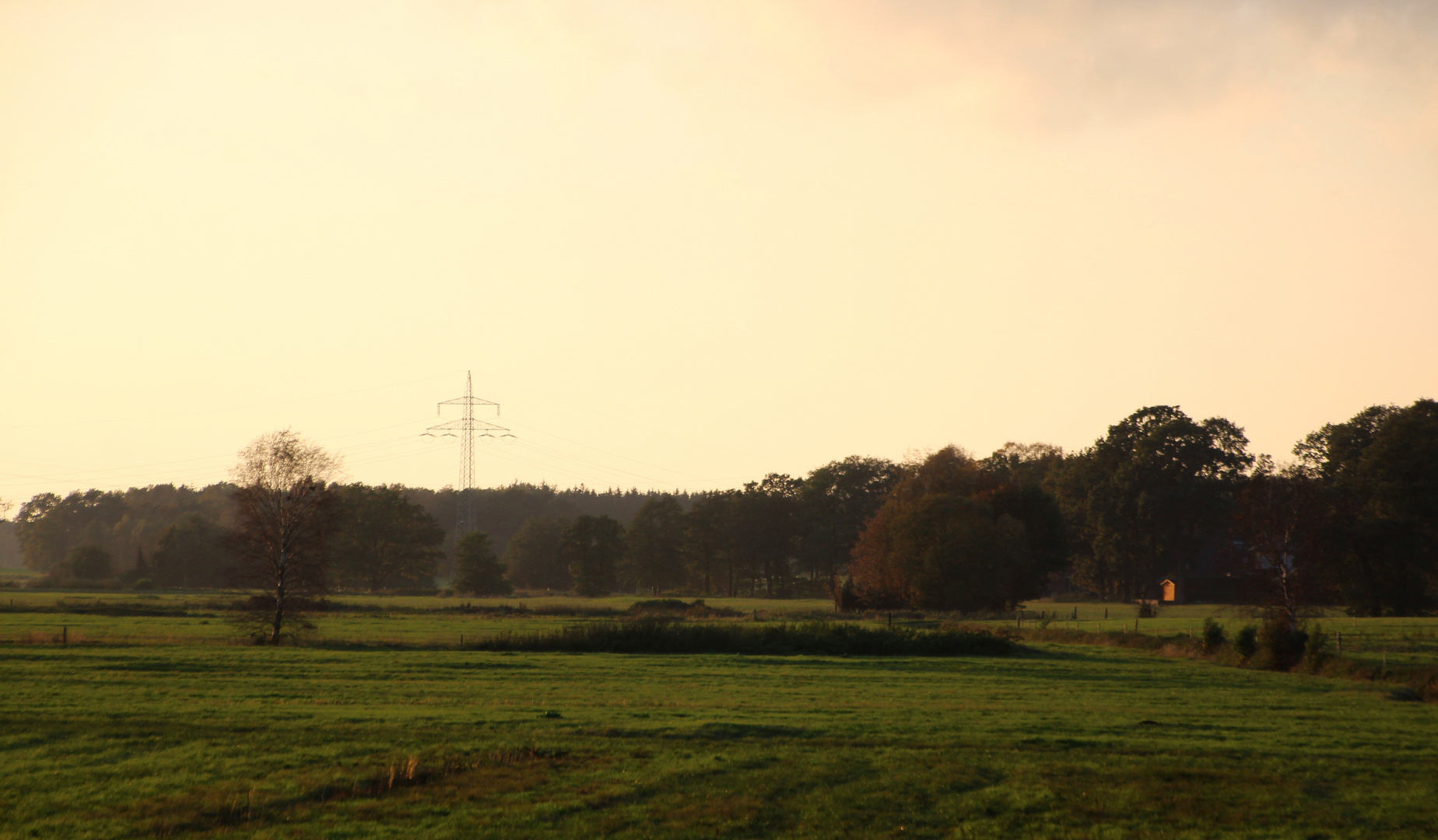 ein Blick über die Moor - Wiesen ... 