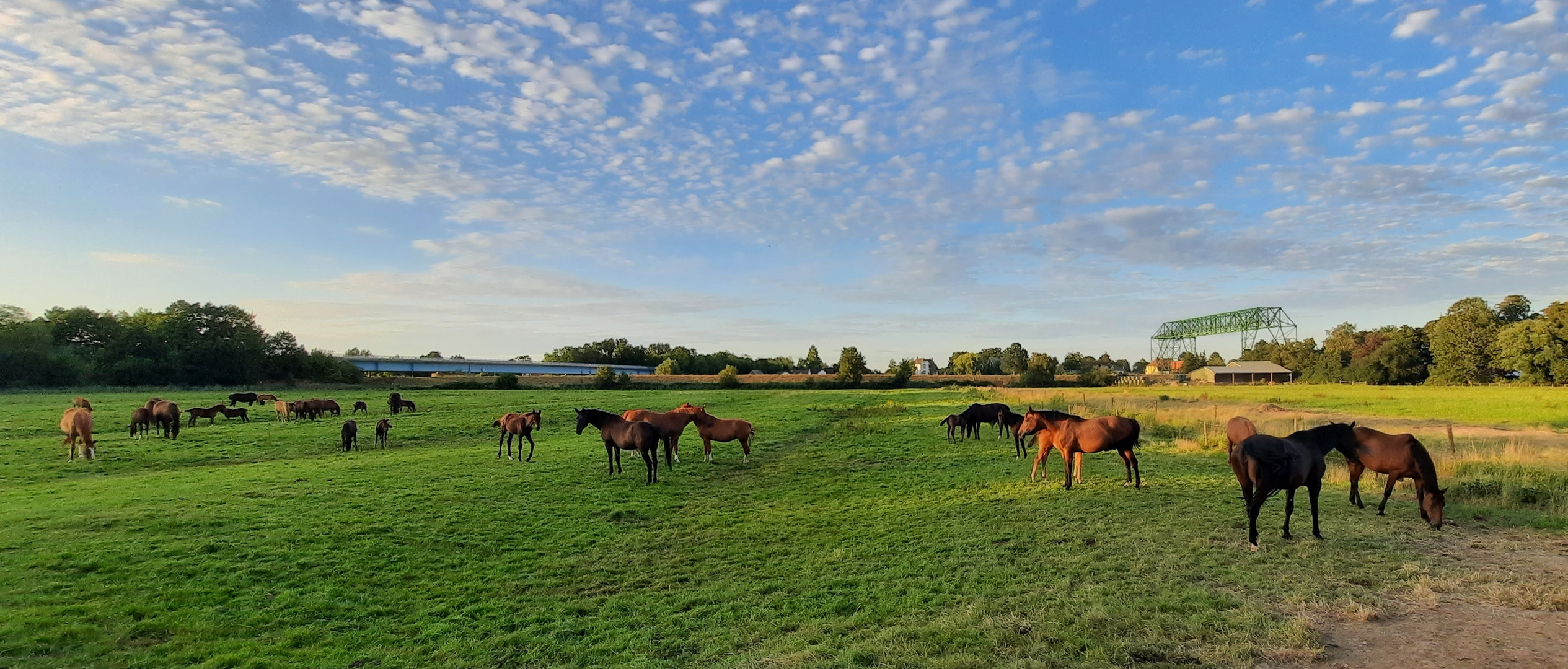 ein Blick über die Weiden ...