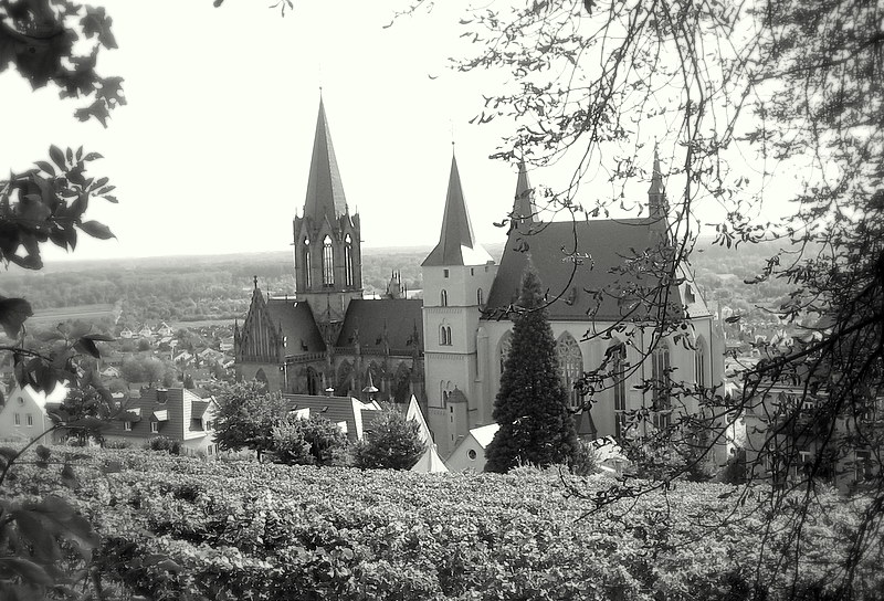 Ein Blick über Oppenheim