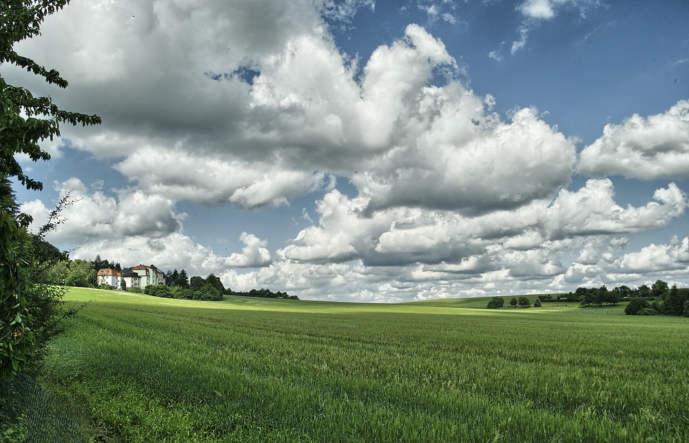 Ein Blick übern Gartenzaun