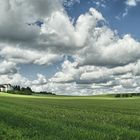 Ein Blick übern Gartenzaun