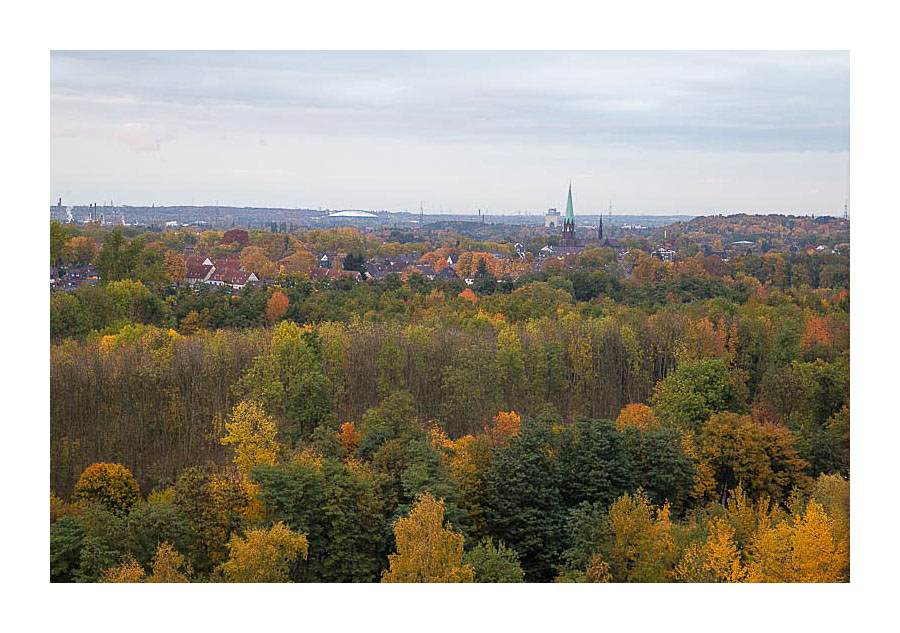 Ein Blick über's herbstliche Revier