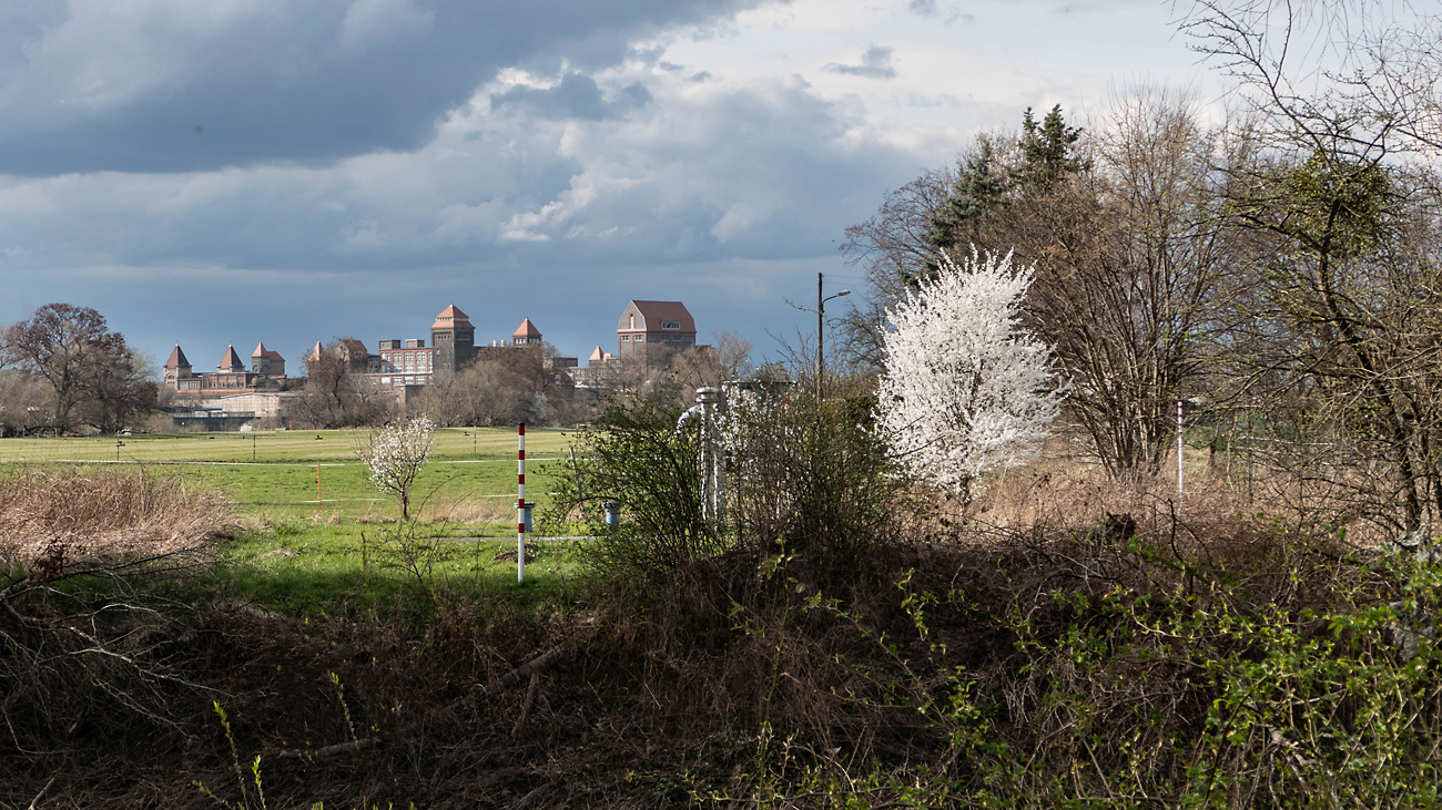 Ein Blick übers Land 