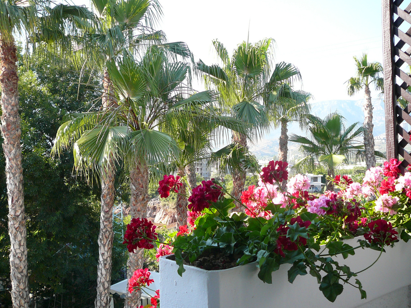 ein Blick vom Balkon