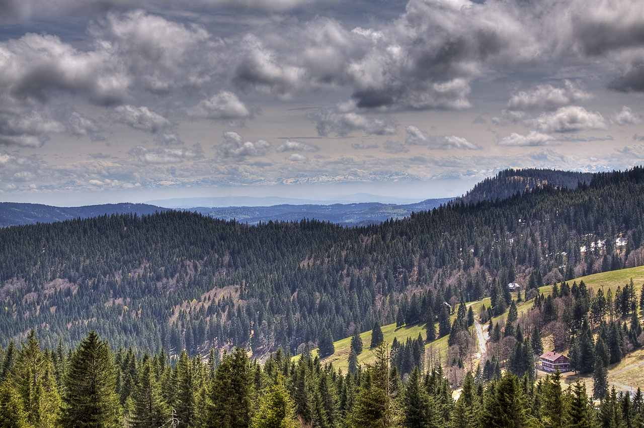 Ein Blick vom Feldberg