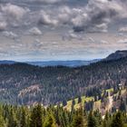 Ein Blick vom Feldberg