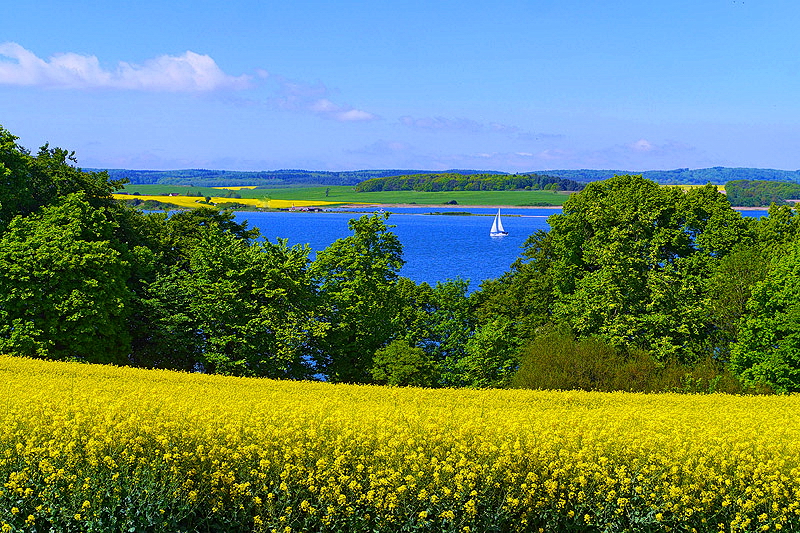 Ein Blick vom Reddevitzer Höft über die Having ins Muttland.