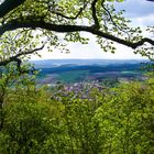 Ein Blick vom Vulkan (Rauher Kulm