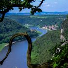 Ein Blick von der Basteibrücke