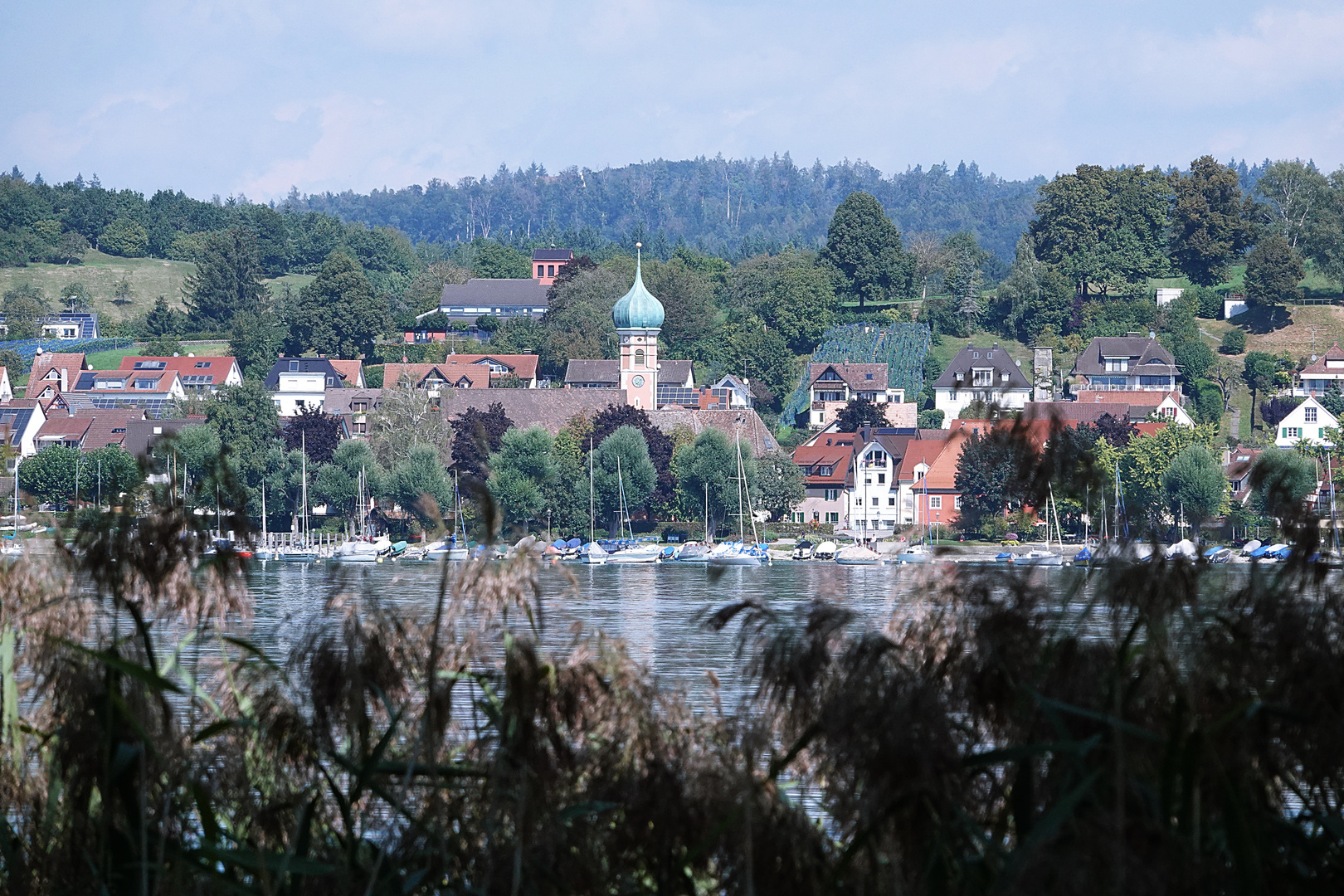 ein Blick von der Insel Reichenau hinüber nach Allensbach