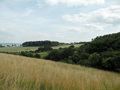 Ein Blick von der Pferdeweide ins Land.Im Hintergrund Bildmitte,erahnt man das Dorf.