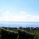 ein Blick von der Wilhelmshöhe auf den Bodensee und Hagnau