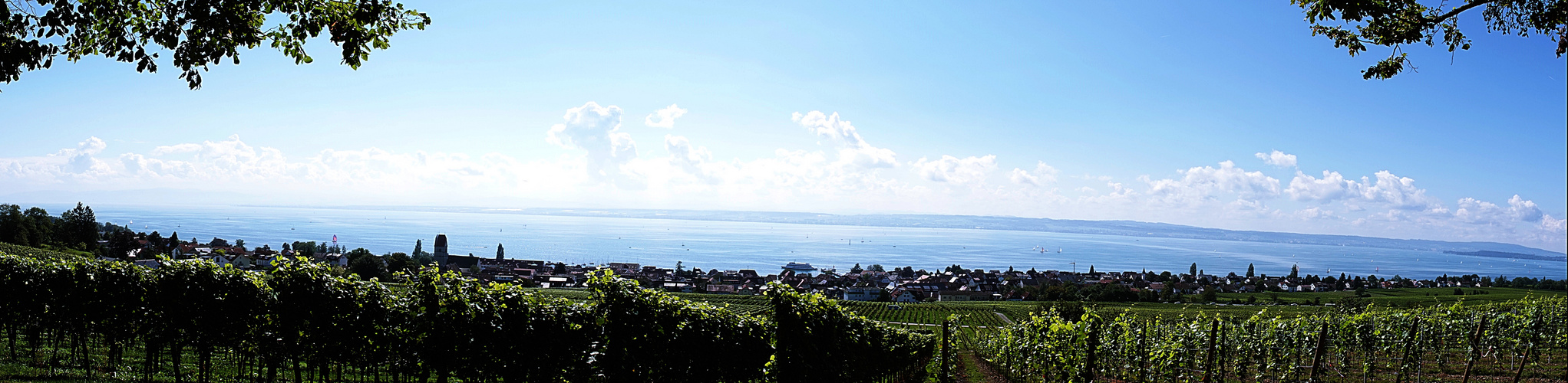 ein Blick von der Wilhelmshöhe auf den Bodensee und Hagnau