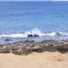 ein Blick - von Lanzarote nach Fuerteventura