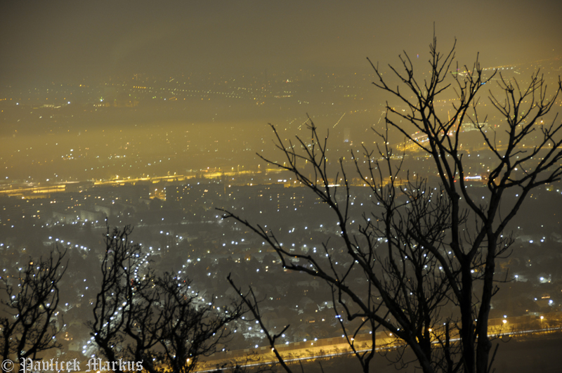 Ein Blick von Leopoldsberg