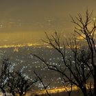 Ein Blick von Leopoldsberg