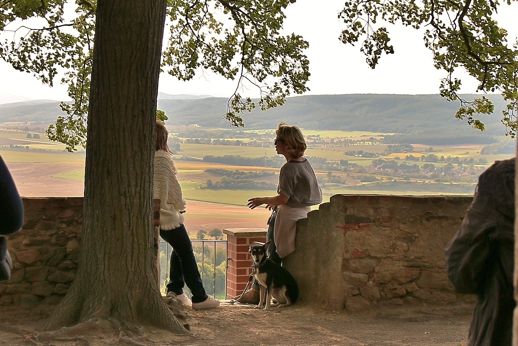 Ein Blick von oben ( Burg Ranis )