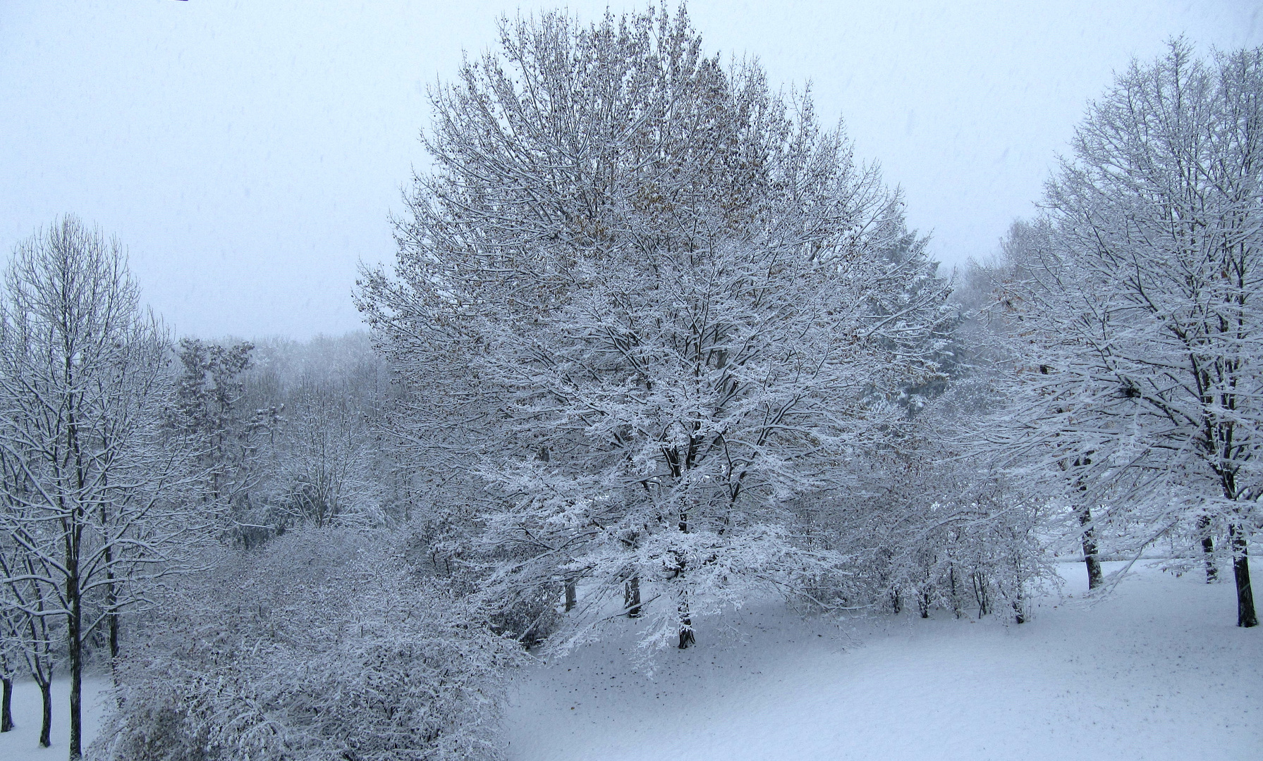 Ein Blick von unsrem Balkon . 