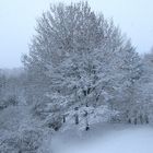 Ein Blick von unsrem Balkon . 