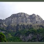 Ein Blick von Walenstadt nach oben