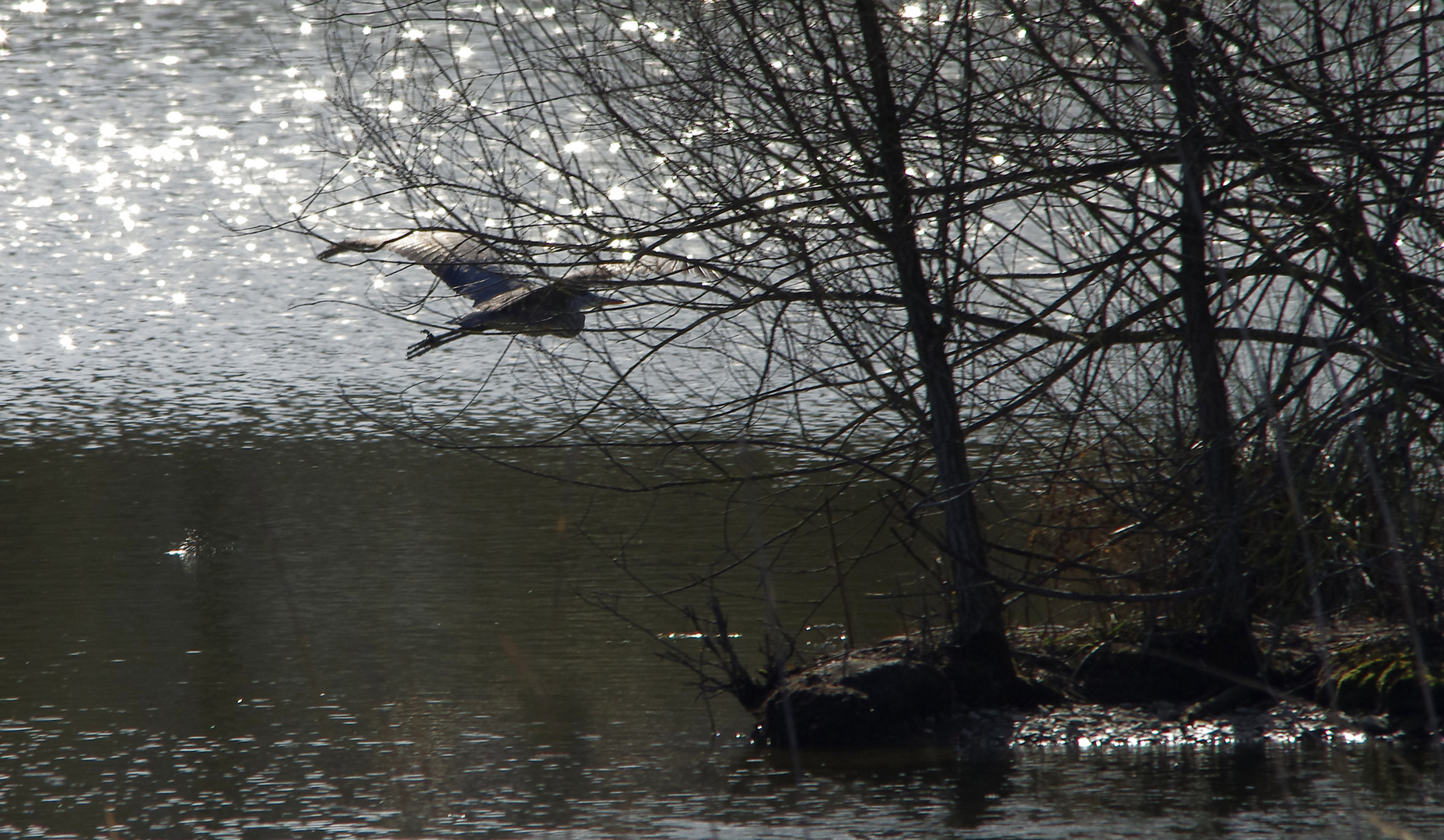 ...ein Blick zum Biotop