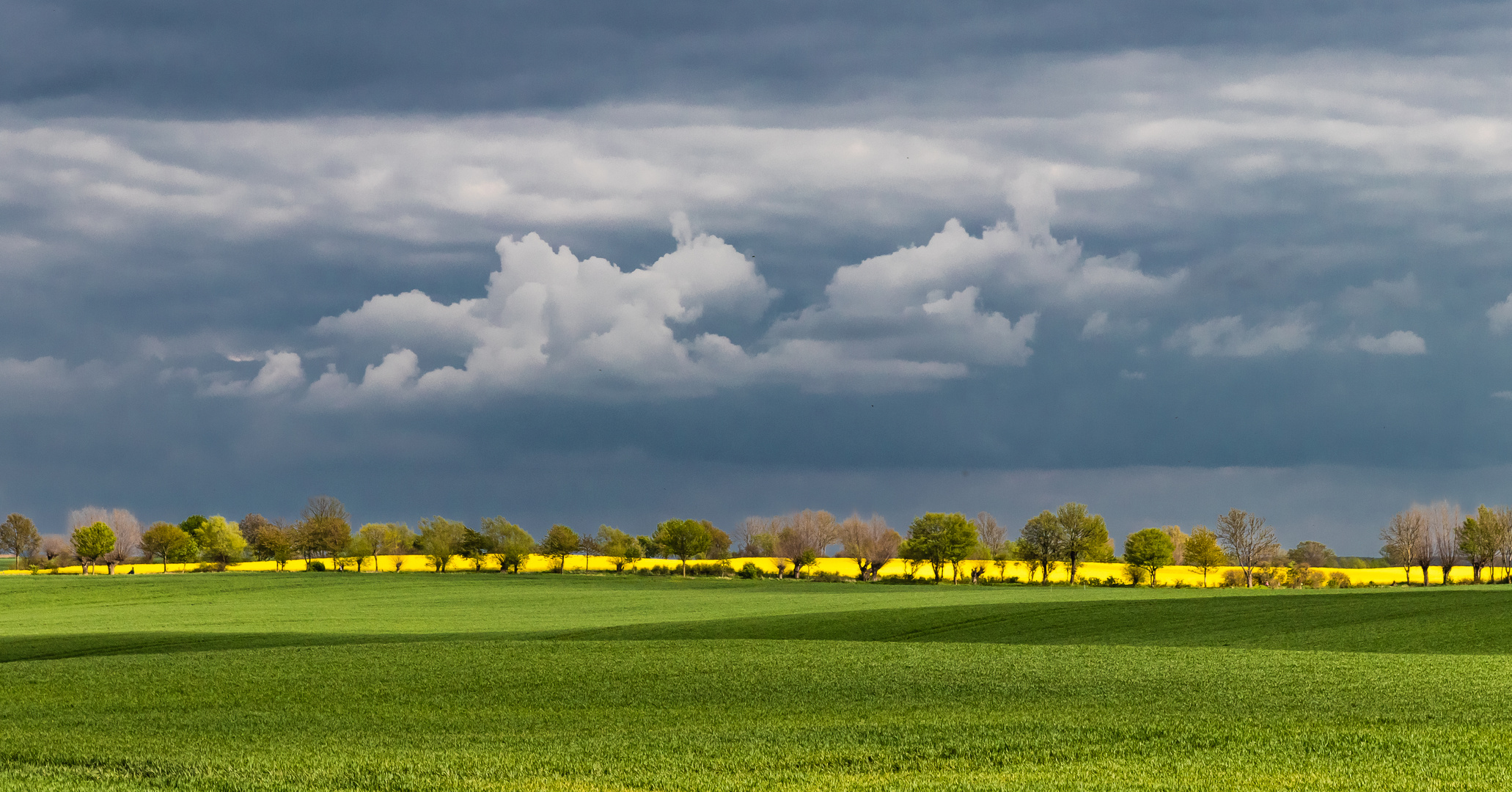 Ein Blick zum Hinterland der Steilküsten in Nordwestmecklenburg