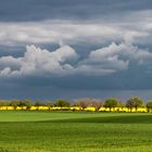 Ein Blick zum Hinterland der Steilküsten in Nordwestmecklenburg