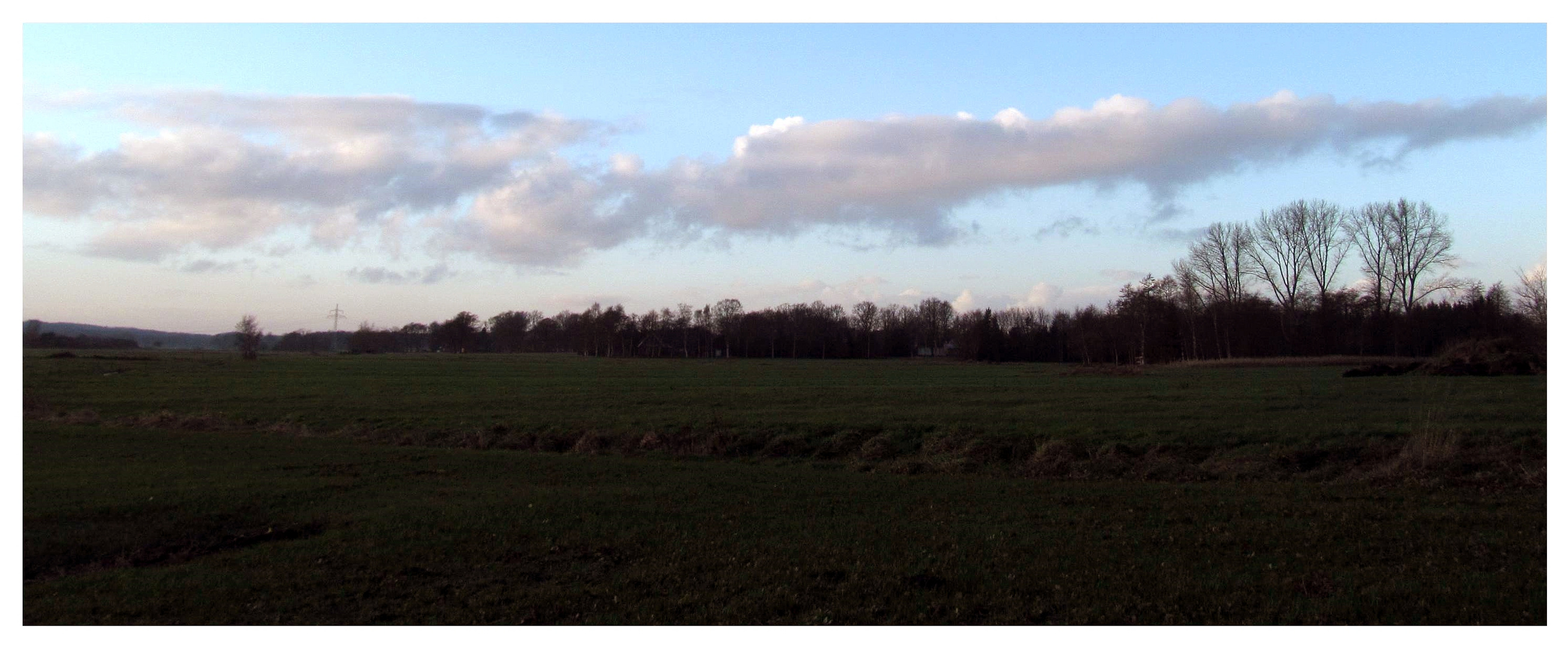 ein Blick zum kleinen Moorwald ...