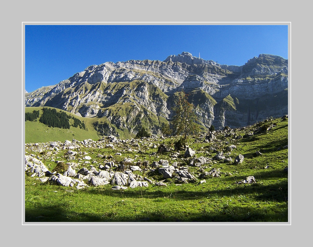 Ein Blick zum Säntis