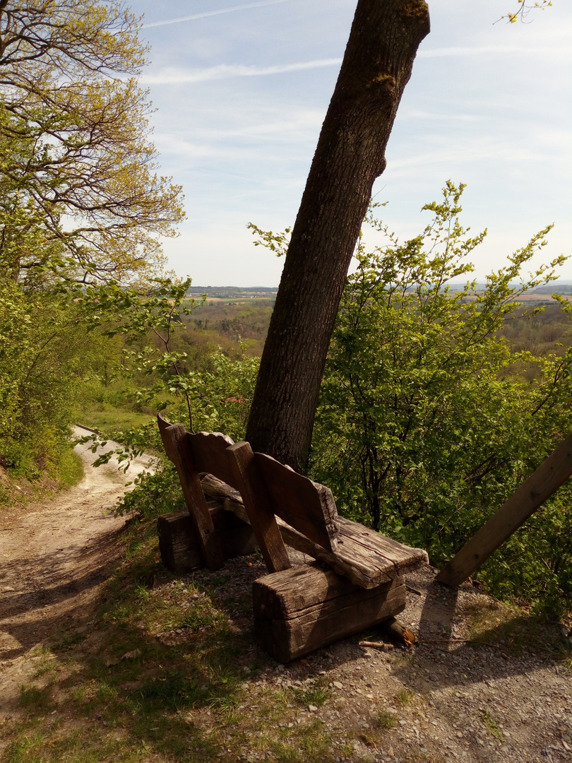 Ein Blick zum Verweilen