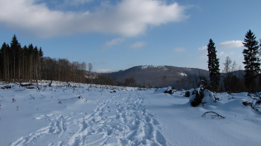 Ein Blick zur Eschenburg