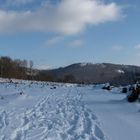 Ein Blick zur Eschenburg