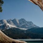 Ein Blick zur Zugspitze