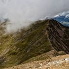 Ein Blick zurück...