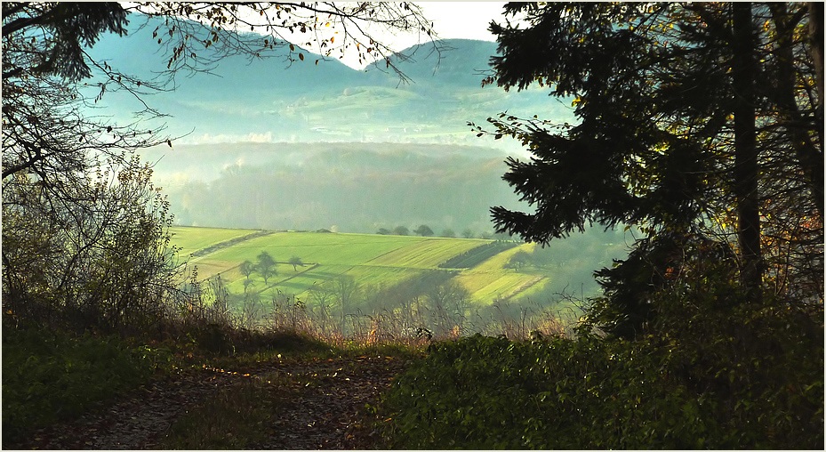 ein Blick zurück