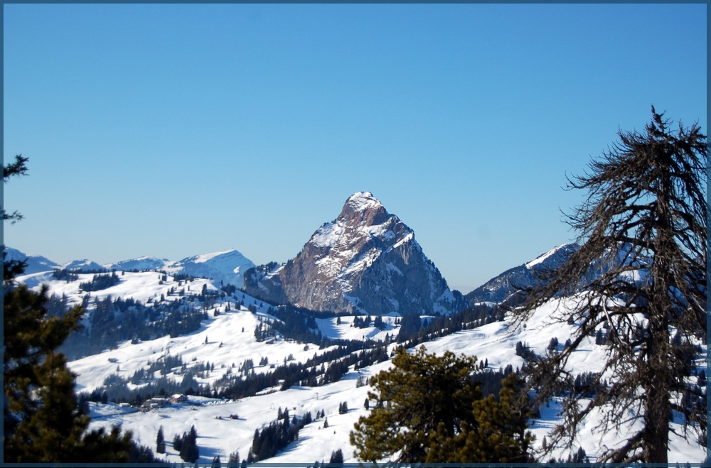 Ein Blickfang hoch über Schwyz