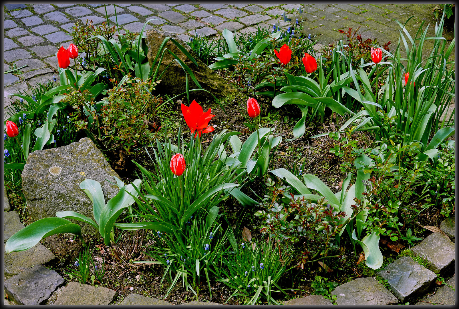 Ein Blumengruß  zu Ostern aus Soest