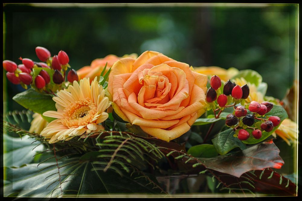 Ein Blumenstrauß... Foto & Bild | sommer, natur, stillleben Bilder auf