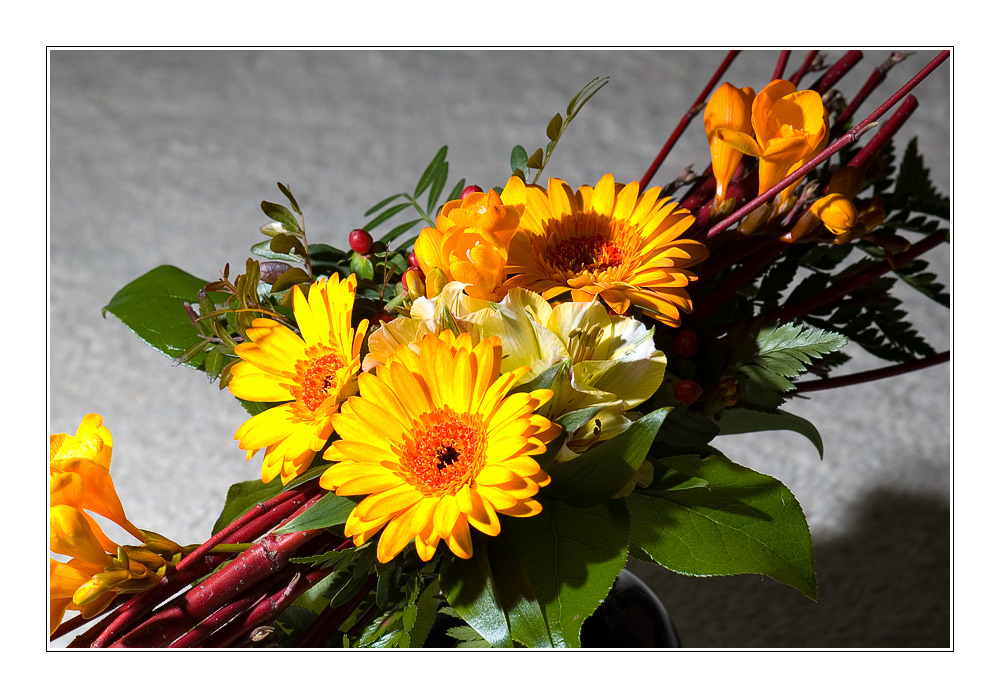 Ein Blumenstrauß für Dagmar