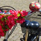 Ein 'blumiges' Fahrrad . . .