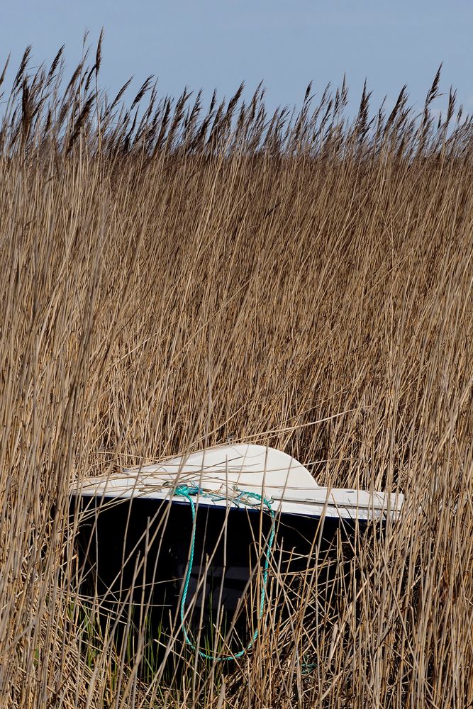 Ein Boot im Kornfeld? - Nein, stimmt ja gar nicht, ein Bett im Schilffeld! 