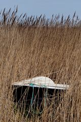 Ein Boot im Kornfeld? - Nein, stimmt ja gar nicht, ein Bett im Schilffeld! 