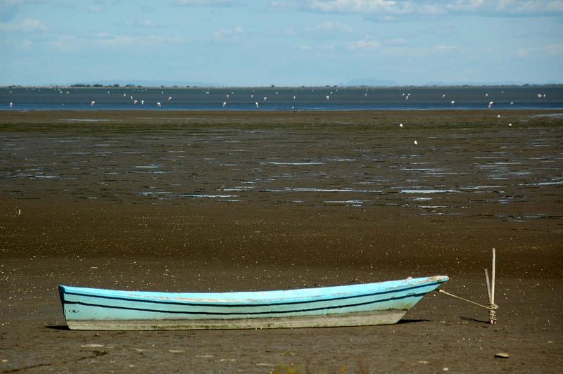 Ein Boot ohne Wasser...