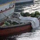 Ein Boot voller Melonen - Curacao