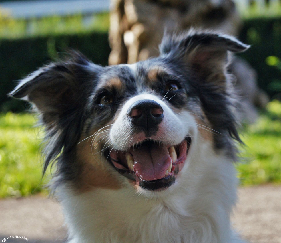 ' ein breites Lachen '