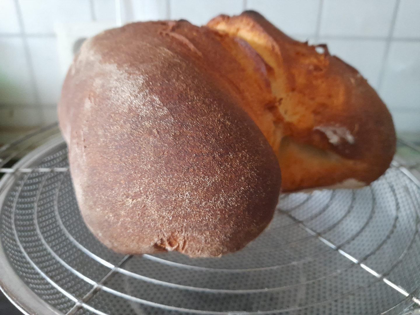Ein Brot aus Apulien