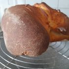 Ein Brot aus Apulien